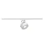 SLV Schienenstrahler Kalu 1-Phasen Aluminium Weiß 13W 970lm 95D - 830 Warmweiß | Dimmbar 